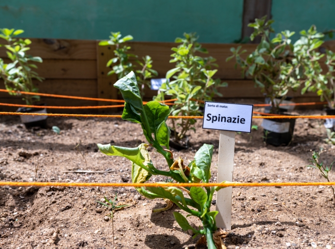 Ministerio di Naturalesa ta lansa Proyecto di Agricultura hunto cu 13 Scol 