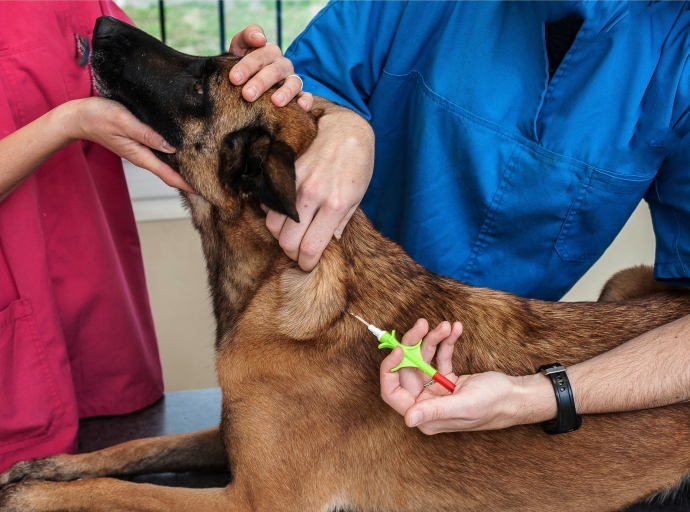 Minister Arends cu yamado na comunidad pa ta microchip bo mascota