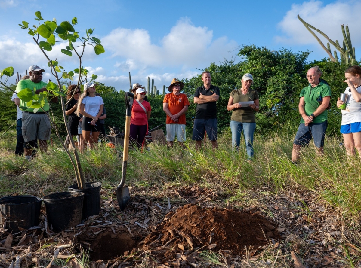 Como 1.000 mata nativo di Aruba a wordo planta