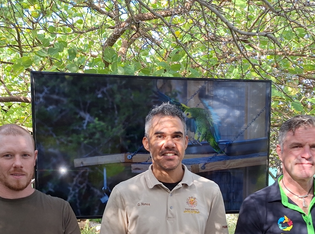 Ya caba 9 lora autentico di Aruba ta bulando los den naturalesa