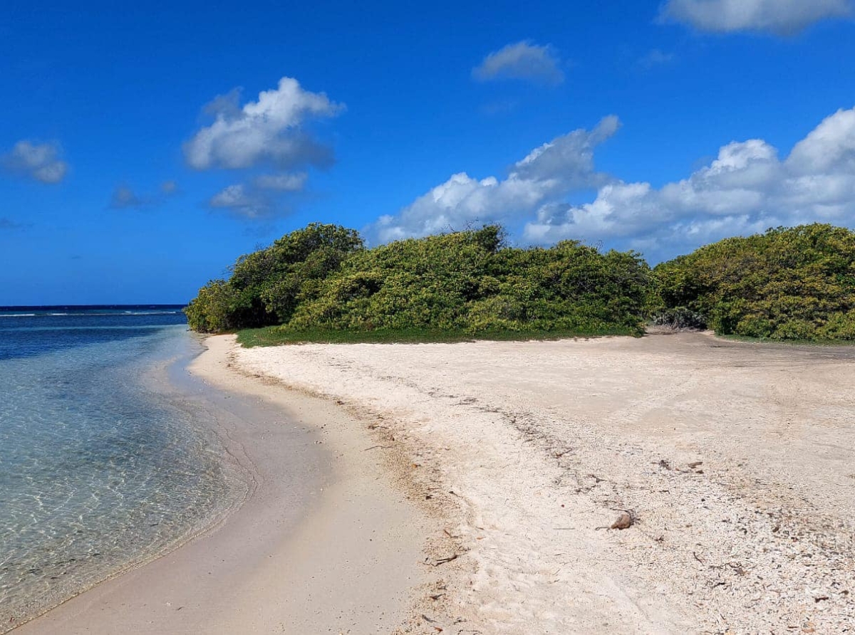 A pone barancanan grandi pa proteha e area di beach na Santo Largo