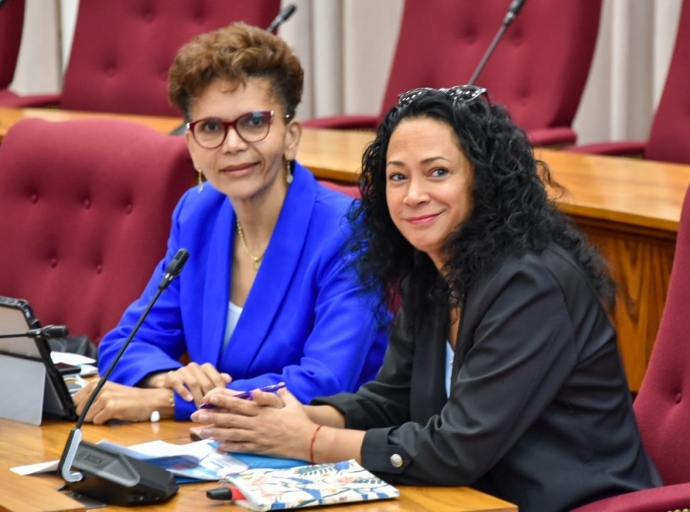 Dos fraccion den Parlamento ta pidi reunion publico tocante SKOA