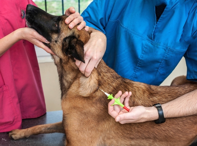 Campaña pa microchip bo cacho ta sigui na Aruba   