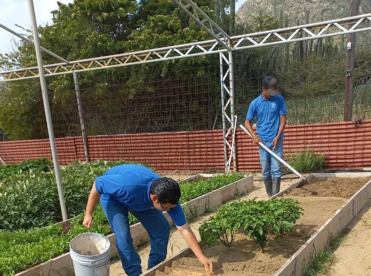 Santa Rosa dunando cooperacion estrecho cu stagiairenan di Scol SPO