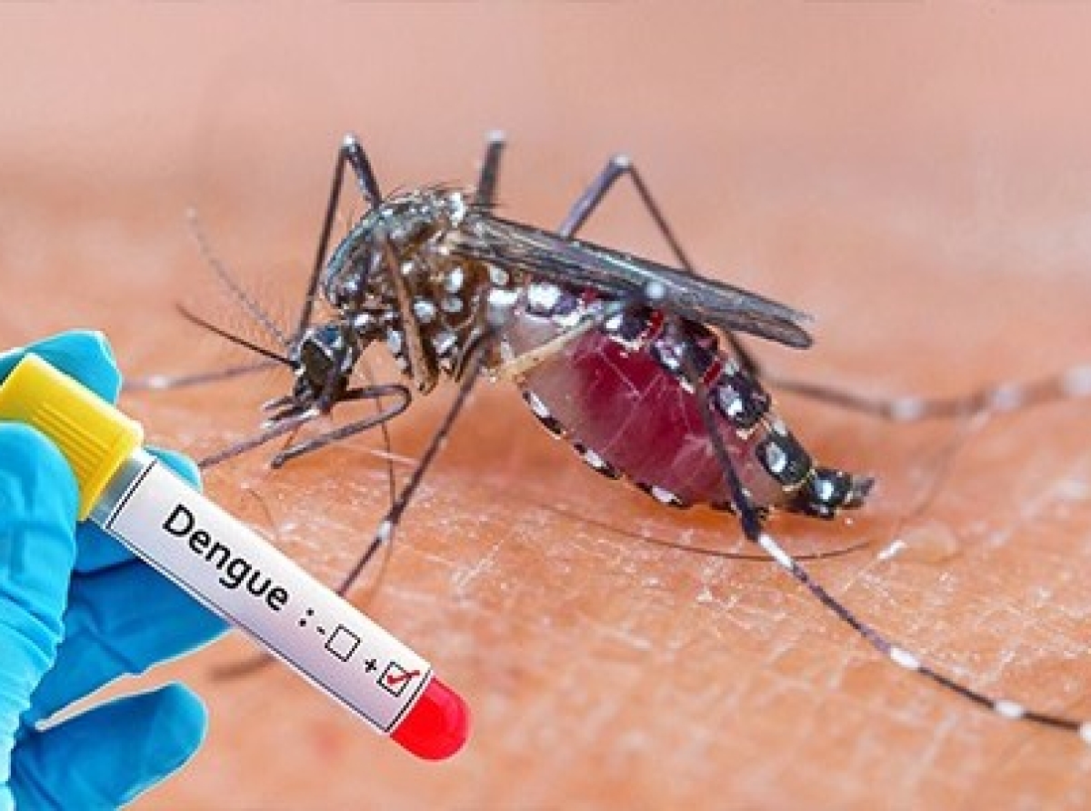 Definitivamente no tin brote di Dengue aworaki na Aruba