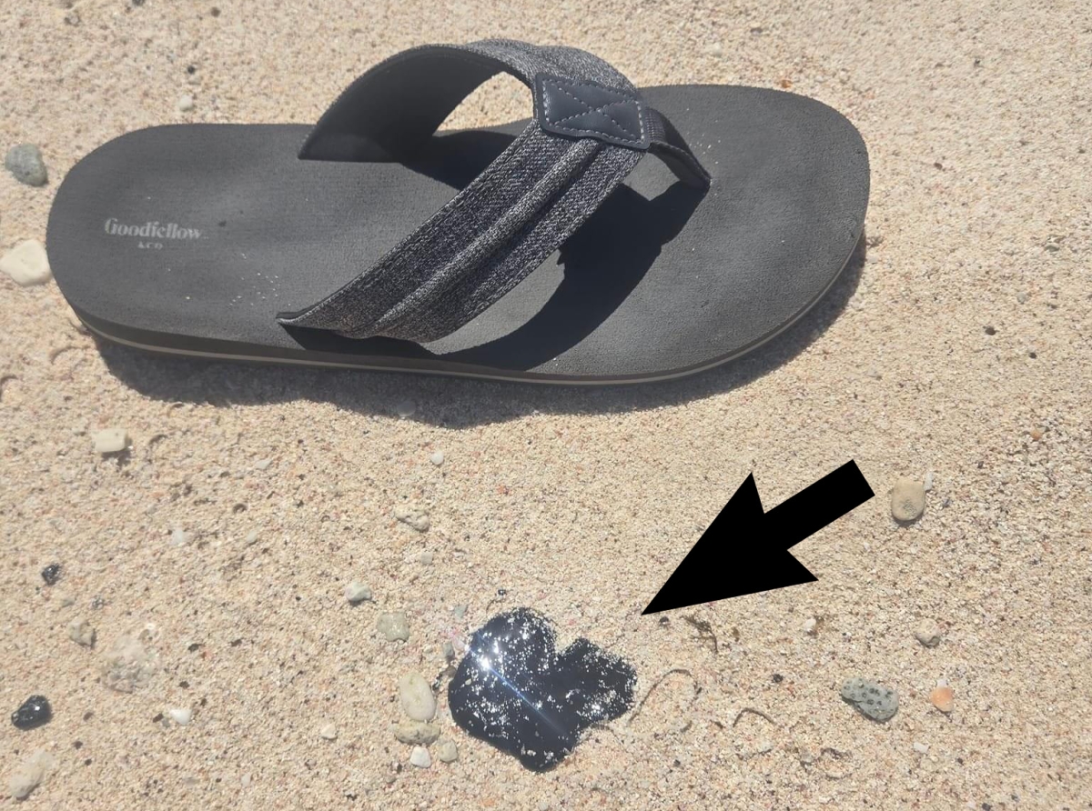 Diasabra a detecta poco mancha di azeta na costa di Aruba