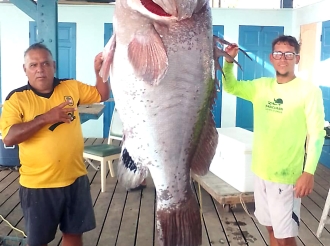 Aunke lama ta bruto a logra gara un Wasa di 145 kilo