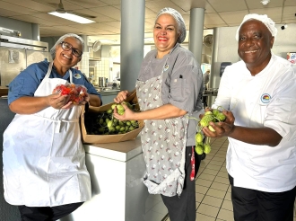 Algun comcomber chikito cultiva na Santa Rosa entrega na Cas pa nos Grandinan