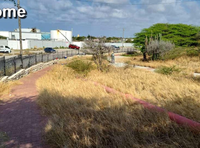 DOW a bay corta yerba creciendo di mas na Lago Heights Park