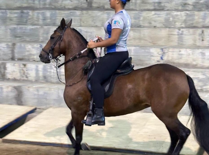 Aruba tabata den competencia di equitacion na Pereira