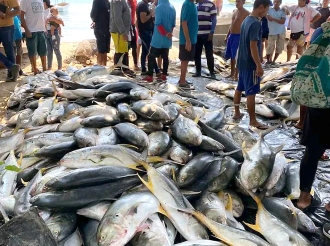 Captura record di pisca Jurel Yellowfin na costa di Santa Marta na Colombia