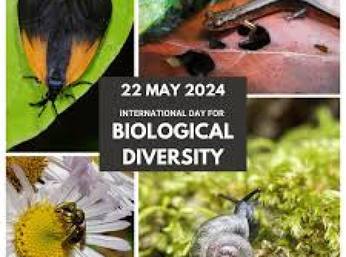 Dia internacional di diversidad biologico, 22 mei 2024