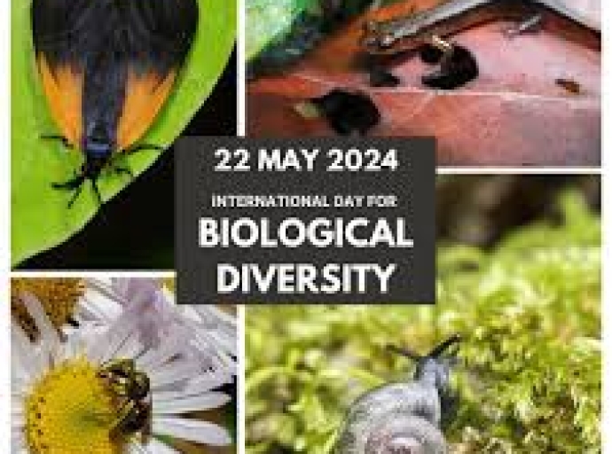 Dia internacional di diversidad biologico, 22 mei 2024