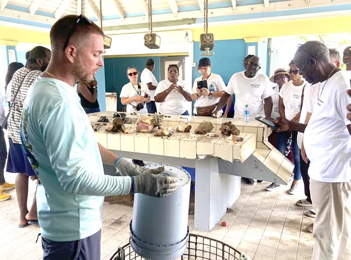 Piscadornan local mes ta suministra Calco y Kreeft na Restaurantnan di St. Eustatius