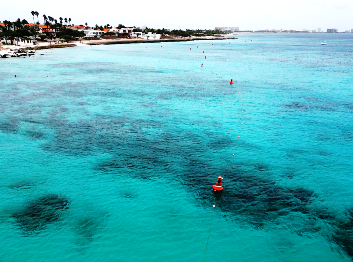 Proyecto di Boei a keda entrega na Arashi como tambe Boca Catalina y Eagle Beach