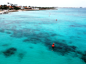 Proyecto di Boei a keda entrega na Arashi como tambe Boca Catalina y Eagle Beach
