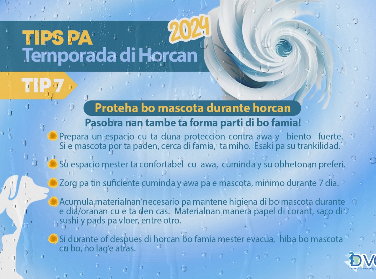 Proteha bo mascota durante horcan