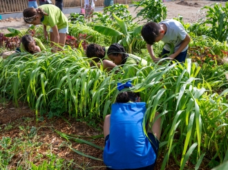Proyecto di Agroforesteria ta e caminda pa un cambio fundamental den Sector Agricola
