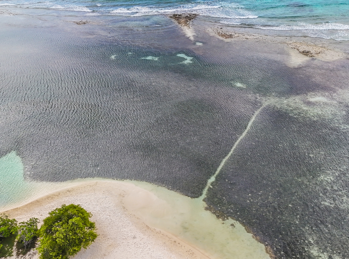 Preservacion di Naturalesa di Aruba ta prioridad