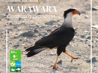 Warawara ta un di e parhanan jaagdo mas conoci na Aruba