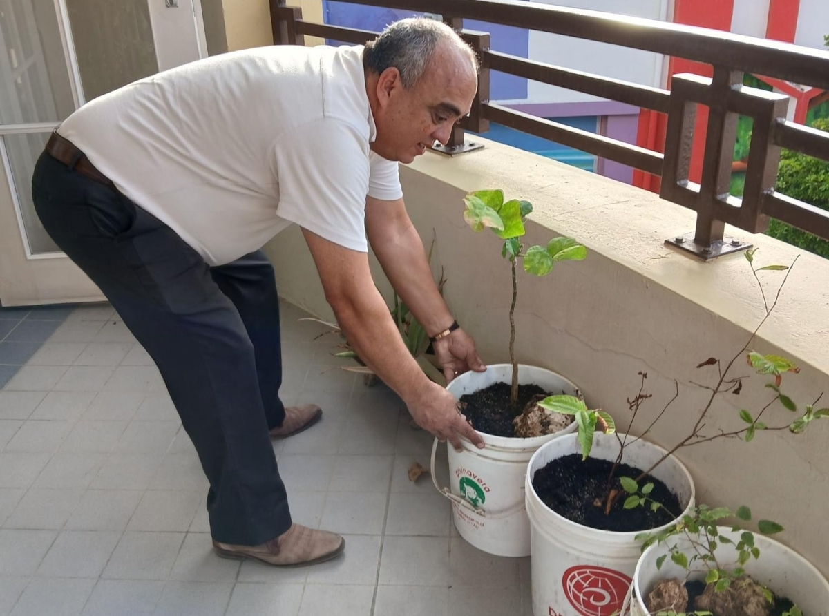 Empleadonan di Directie Natuur en Milieu cu tremendo accion di planta mata