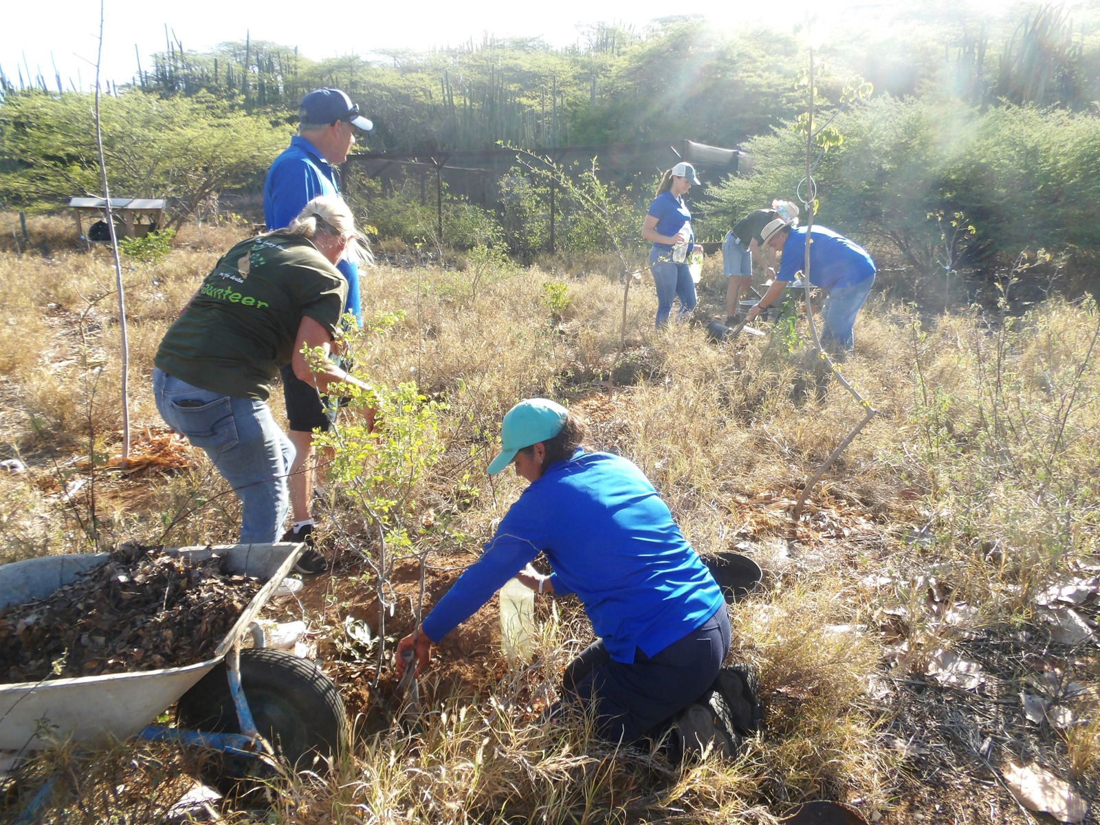 Team di DNM cu tremendo actividad di 'Ban lanta y planta'