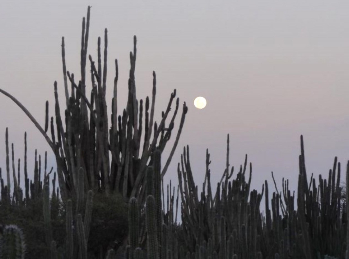 Diadomingo awor tin Full Moon Hike den Parke Arikok