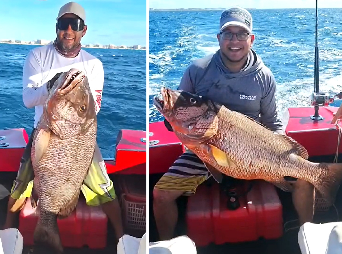 Rumannan Perez a captura un impresionante pisca pabao di Aruba   