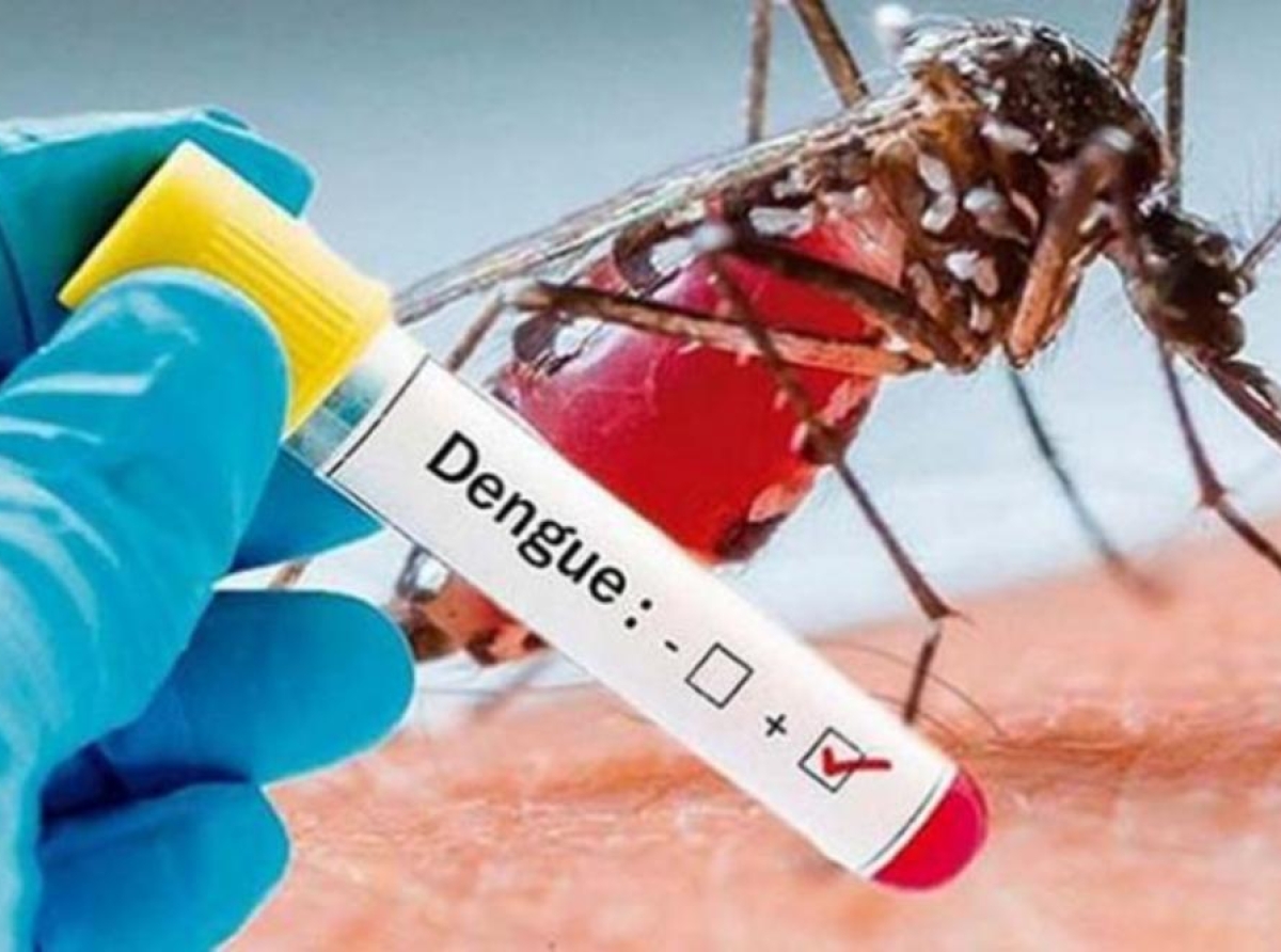 PAHO ta alerta riba aumento di riesgo di brote di dengue den e region di America pa motibo di circulacion di DENV-3