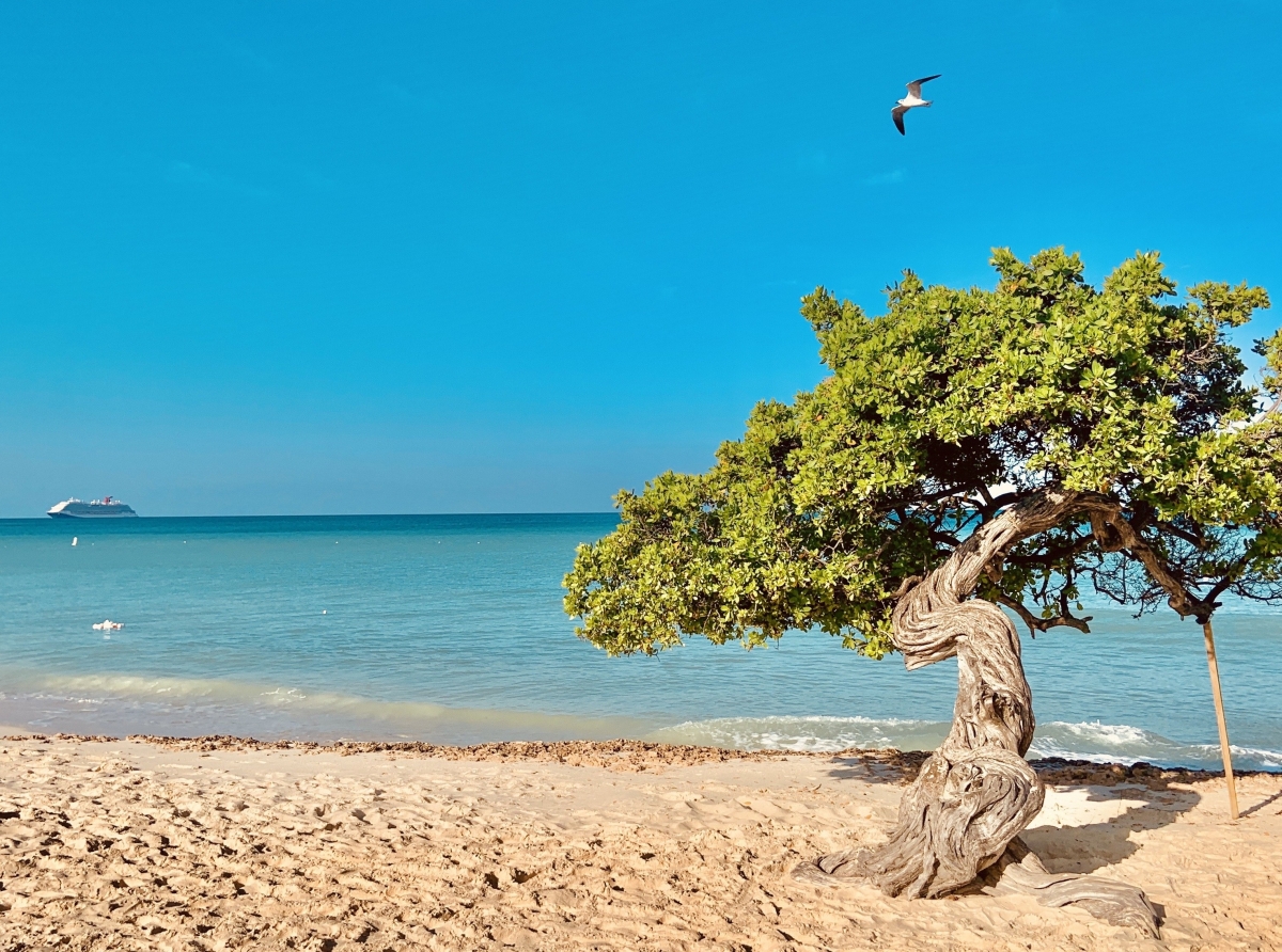 Awe ta Dia Mundial di Resilencia den Turismo