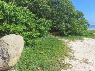E ley pa proteha e naturaleza tin un balor ecologico of un balor pa Aruba mes