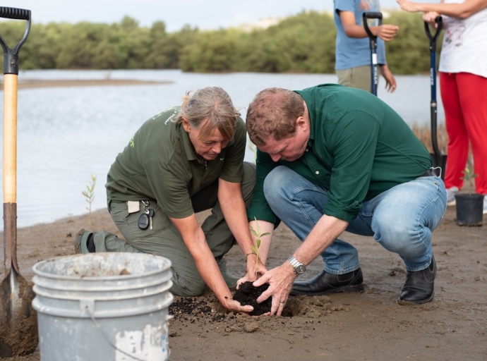 Gobierno di Aruba ta duna inicio na proyecto di reforestacion na Spaans Lagoen