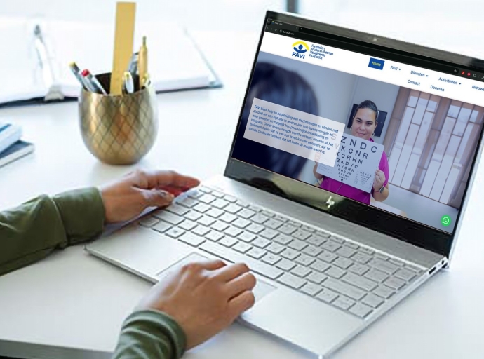 Fundacion FAVI a re-introduci nan website