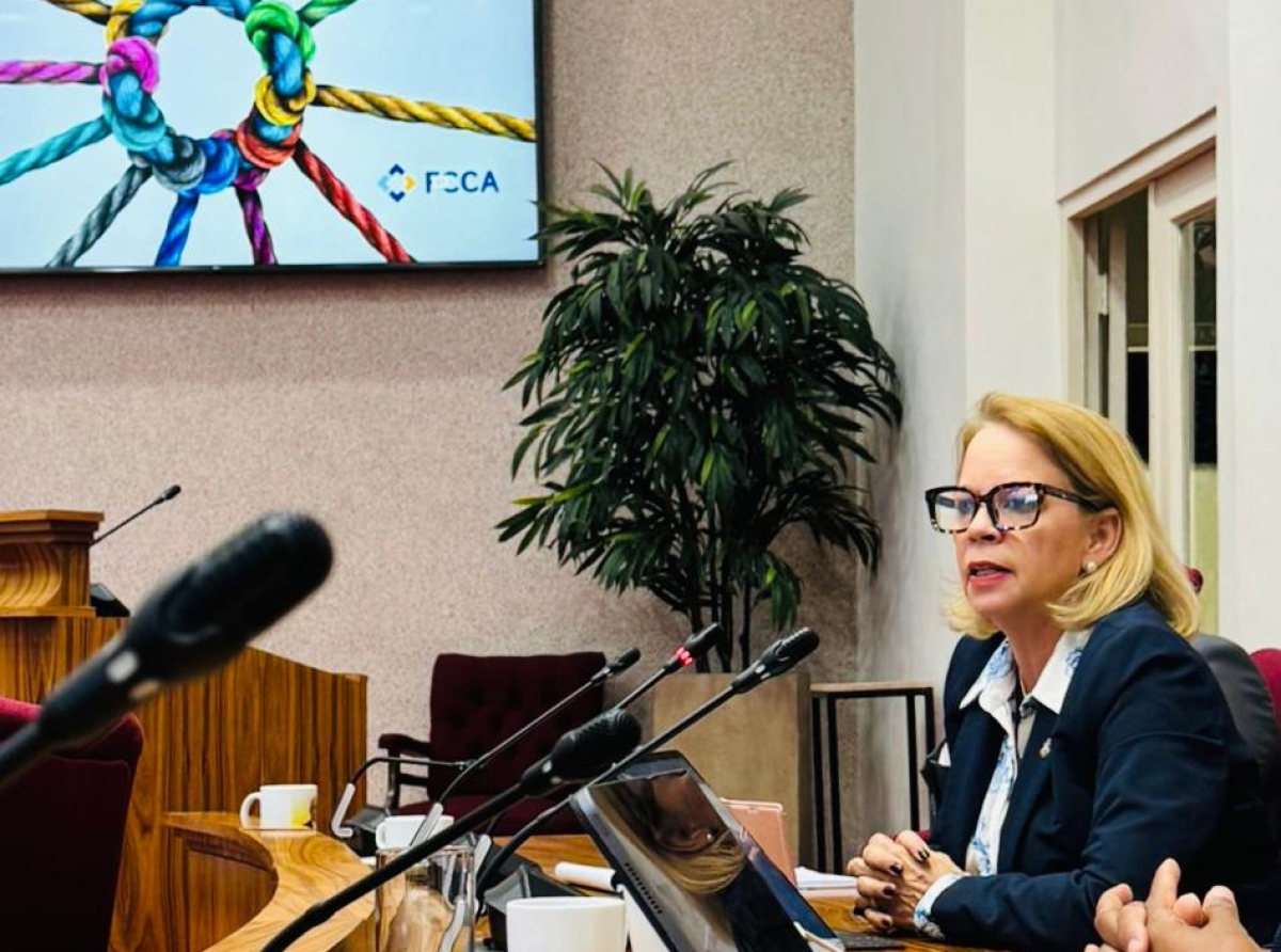 Fraccion di MEP den Parlamento a reuni cu FCCA riba e tema di vivienda social