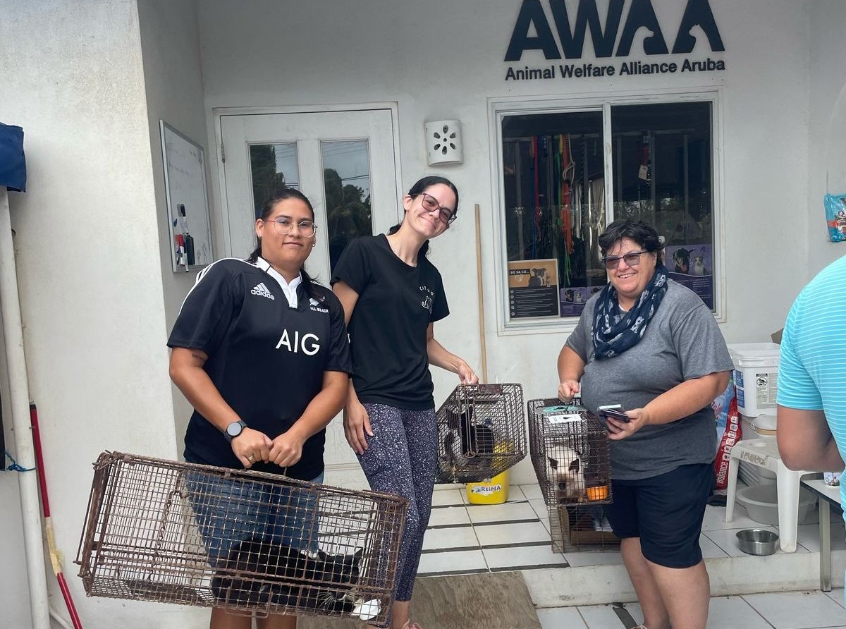 AWAA ta haci otro yamada na Pueblo di Aruba pa inscribi mascotanan di cas pa sterilisacion GRATIS 2025