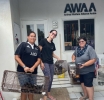 AWAA ta haci otro yamada na Pueblo di Aruba pa inscribi mascotanan di cas pa sterilisacion GRATIS 2025