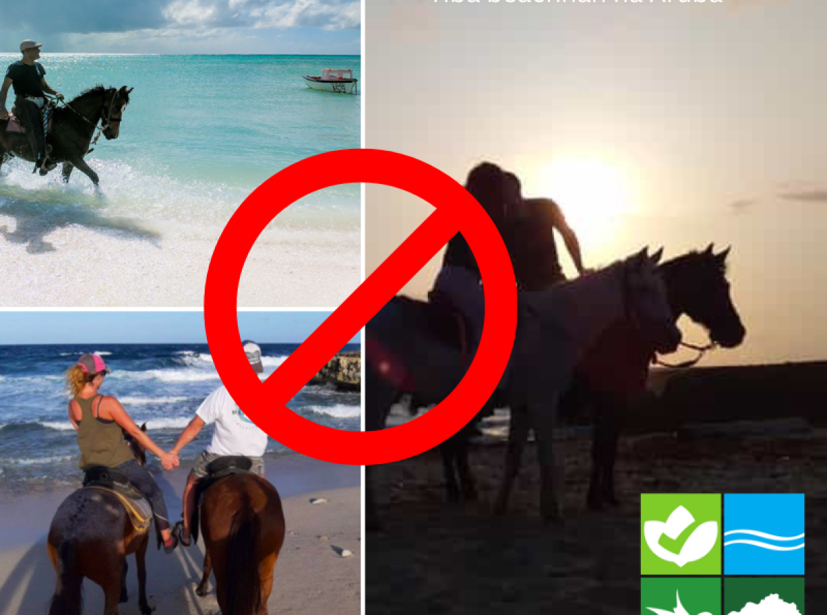 Ley prohibicion pa core cabay riba beachnan di Aruba ta vigente