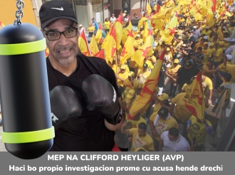 Ta totalmente inaceptabel pa ataca hendenan profesional, sin base of prueba