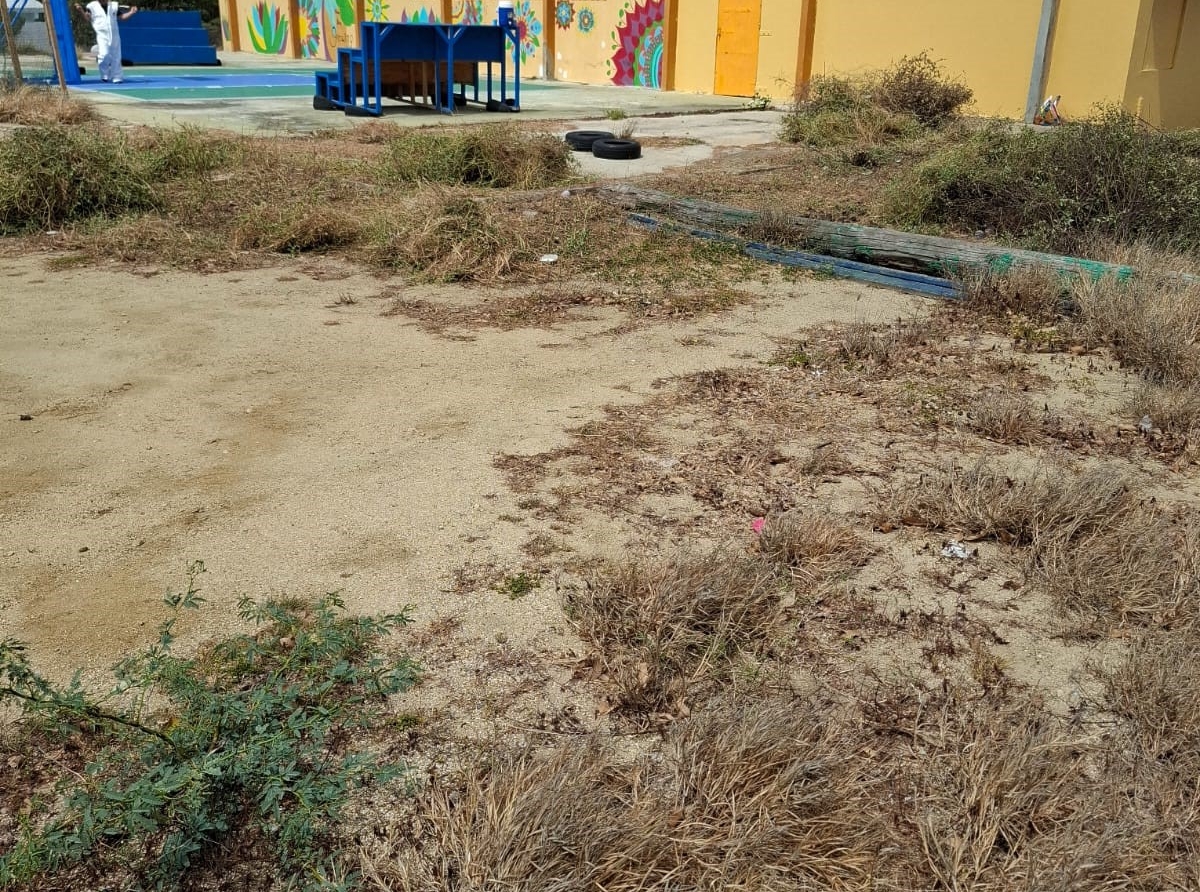 KIA ta contribui activamente na comunidad durante Aruba Doet