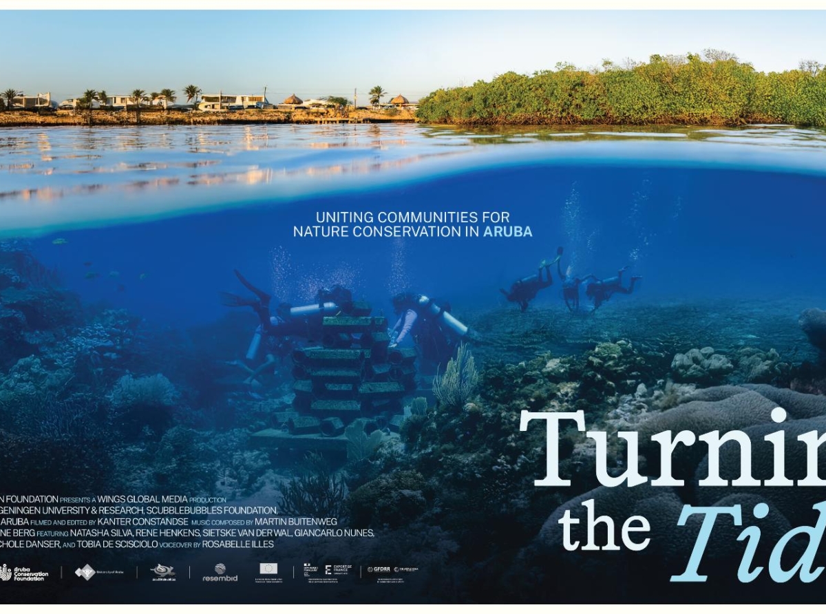 Documentario ‘Turning the Tide’ lo ta riba YouTube pa Dia Mundial di Oceano