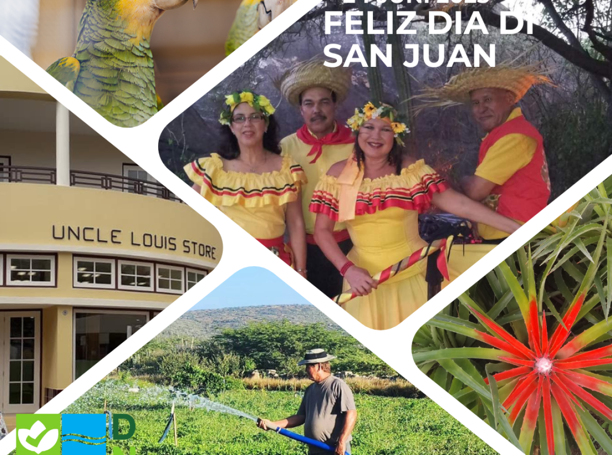 Celebracion cultural Dia di San Juan no ta un dia pa kima sushi of desperdicio cu ta causa daño na medio ambiente