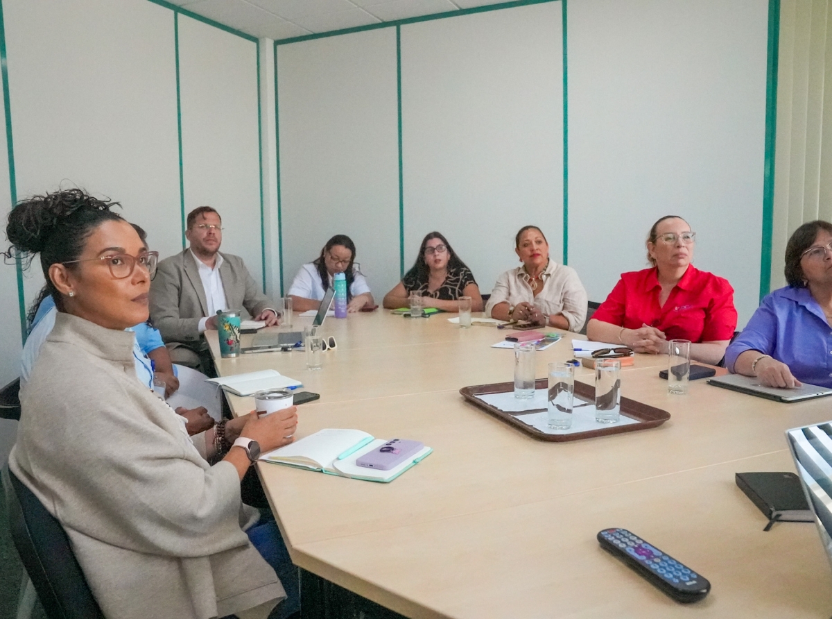 Diplomatico Cultural a reuni cu stakeholders pa fortalece posicion cultural di Aruba
