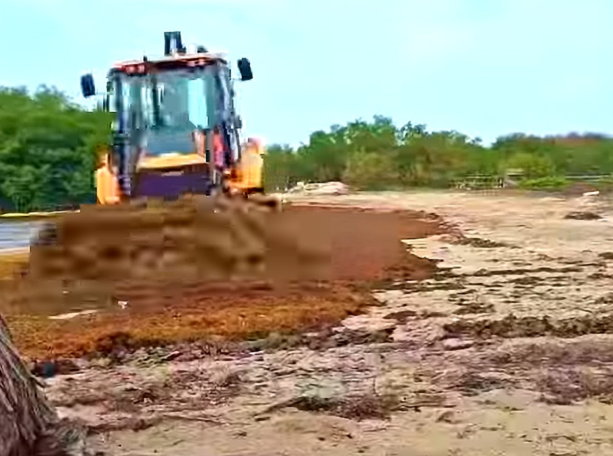 Bonaire awor ta benta Sargassum den nan Landfill