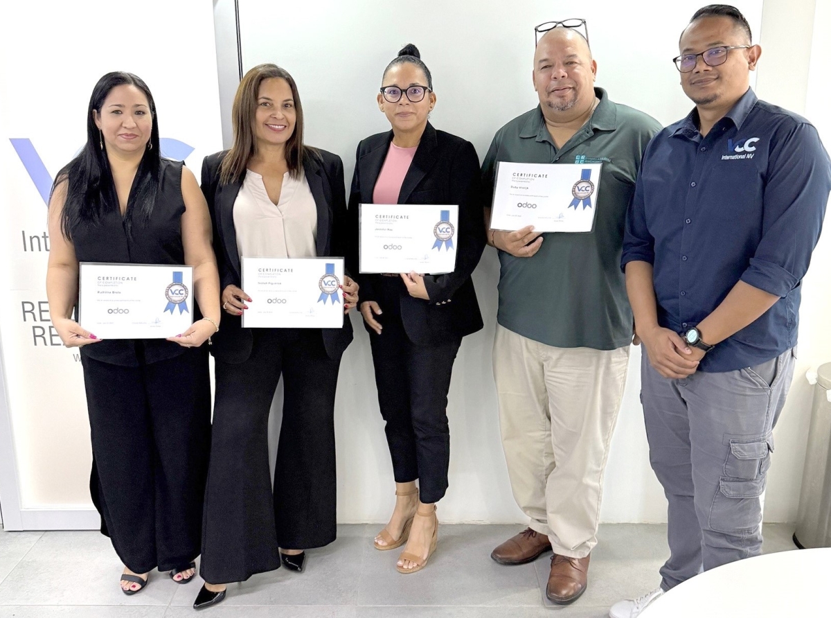Diferente profesional local a haya curso di Odoo