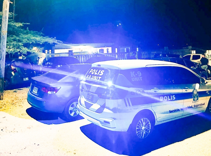 Polis Anti-Droga a detene dos persona y confisca mas cu 200 mata di marihuana
