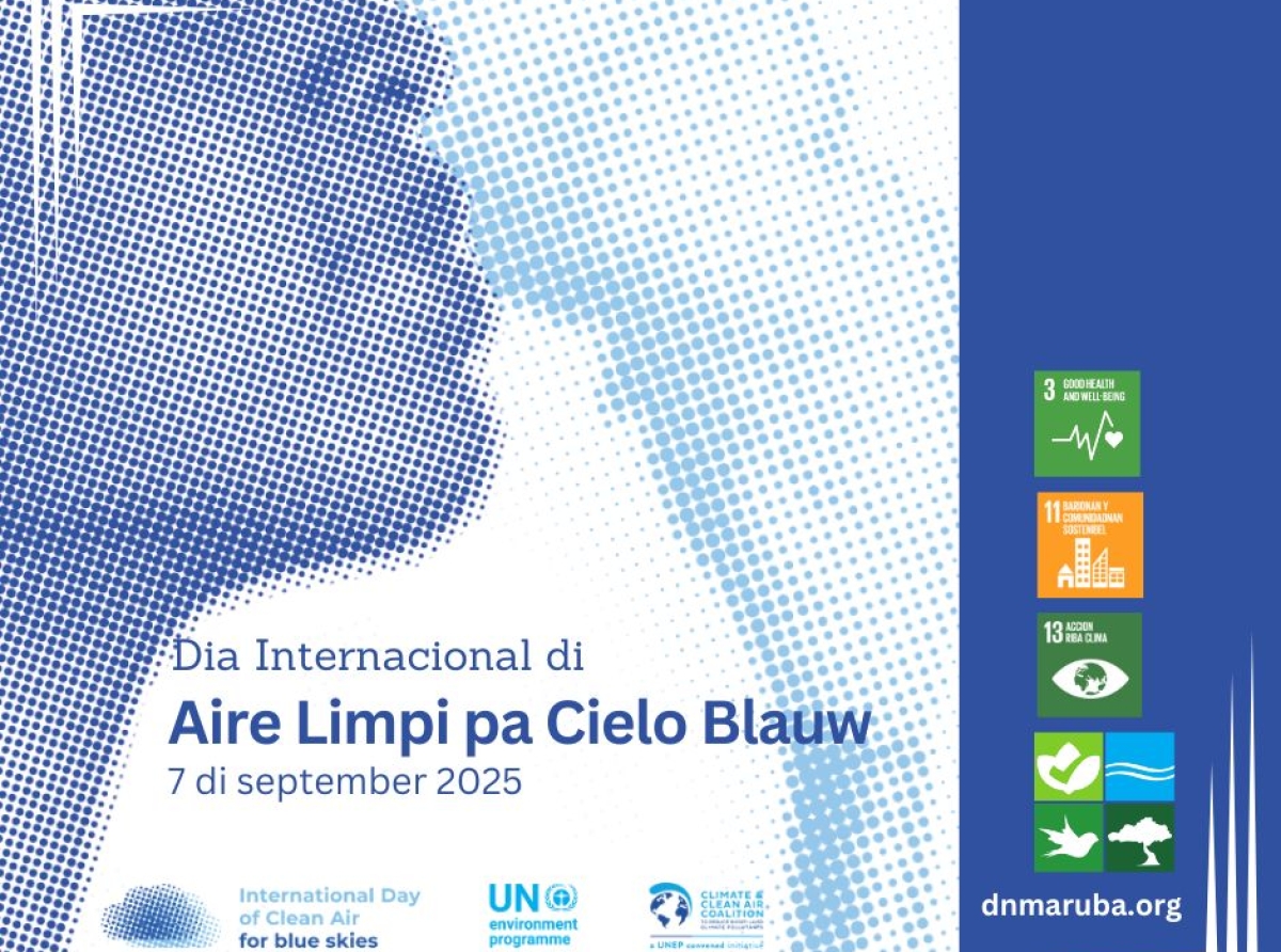 Diadomingo a observa Dia Internacional di Aire Limpi pa Cielo Blauw