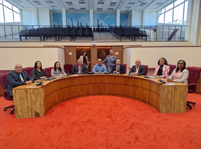 Delegacion di Islanan BES a yega Aruba pero no a ricibi sosten oficial por escrito for di AVP ni Futuro