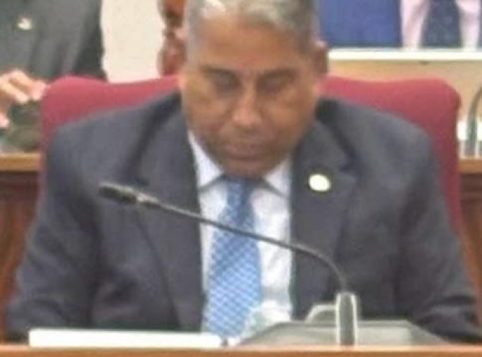 MEP a nota cu Gerlien a hala Goeloe un banda den Parlamento pa Lindor bira lider di fraccion