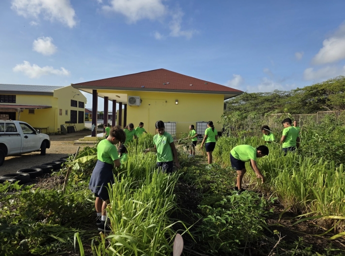 Alumnonan balente den hardin di fruta y berdura di Scol Basico Washington   