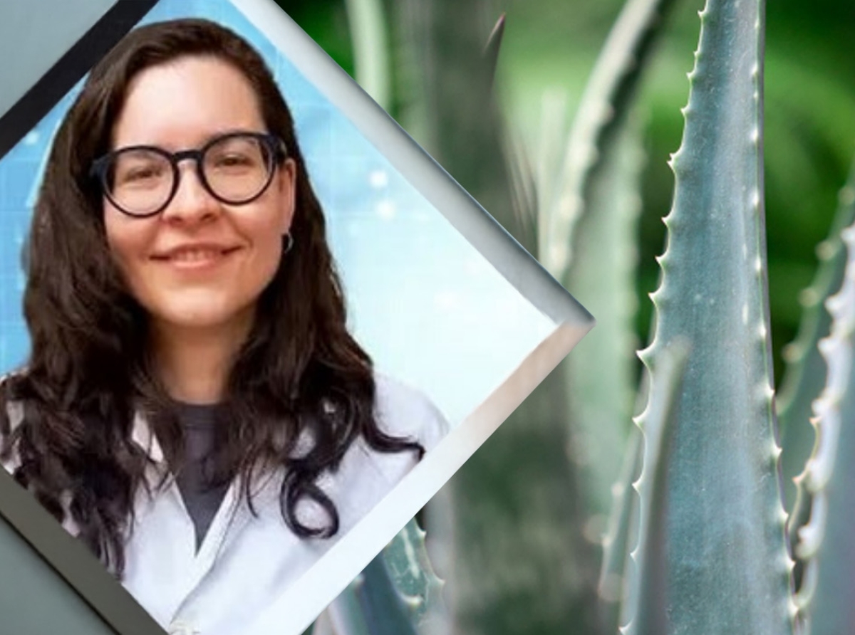 Investigacion cientifico haci na Aruba encuanto desperdicio cu produccion di Aloe ta genera